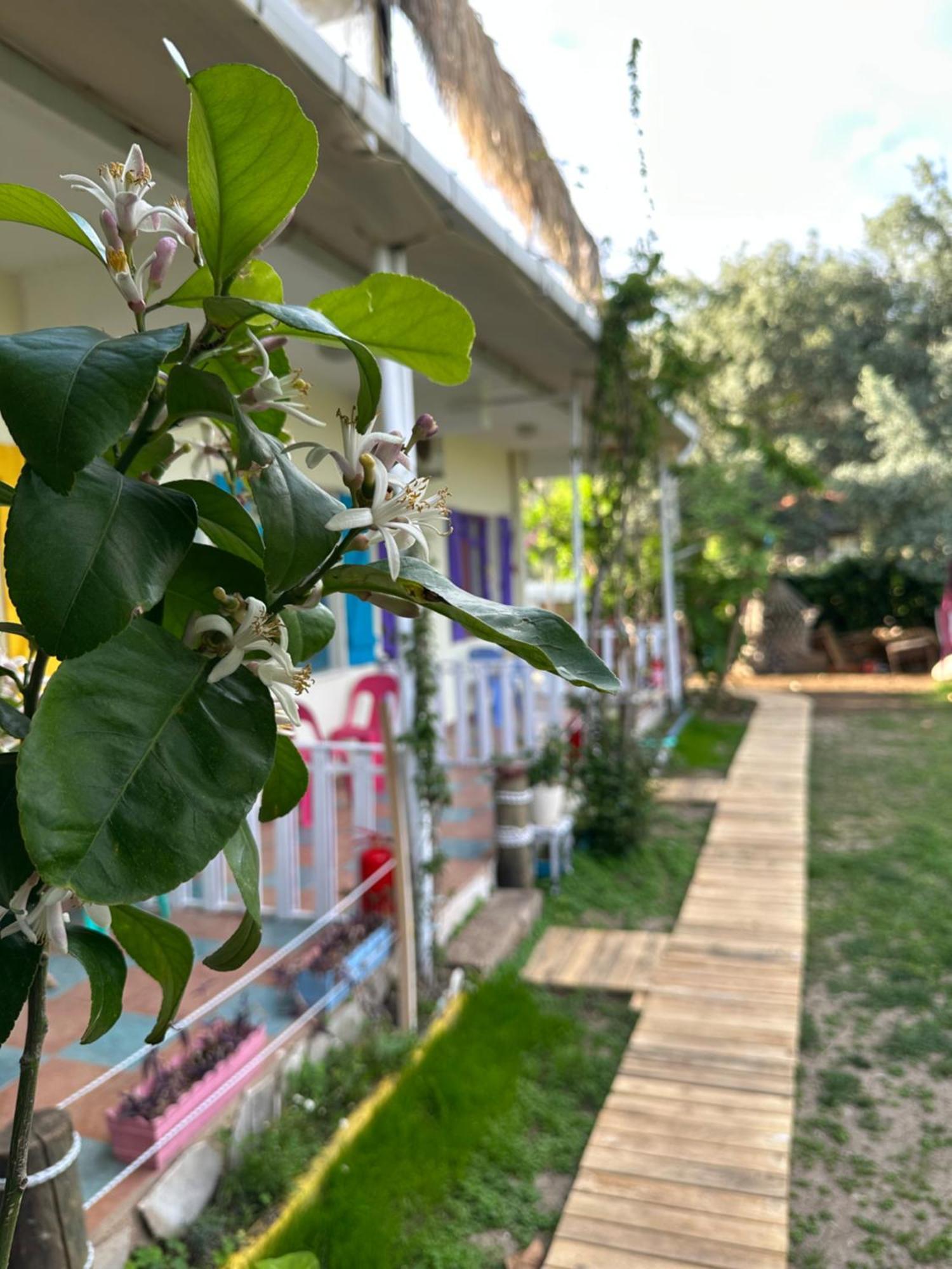 Gaya Pansiyon Cirali Kemer Exteriör bild